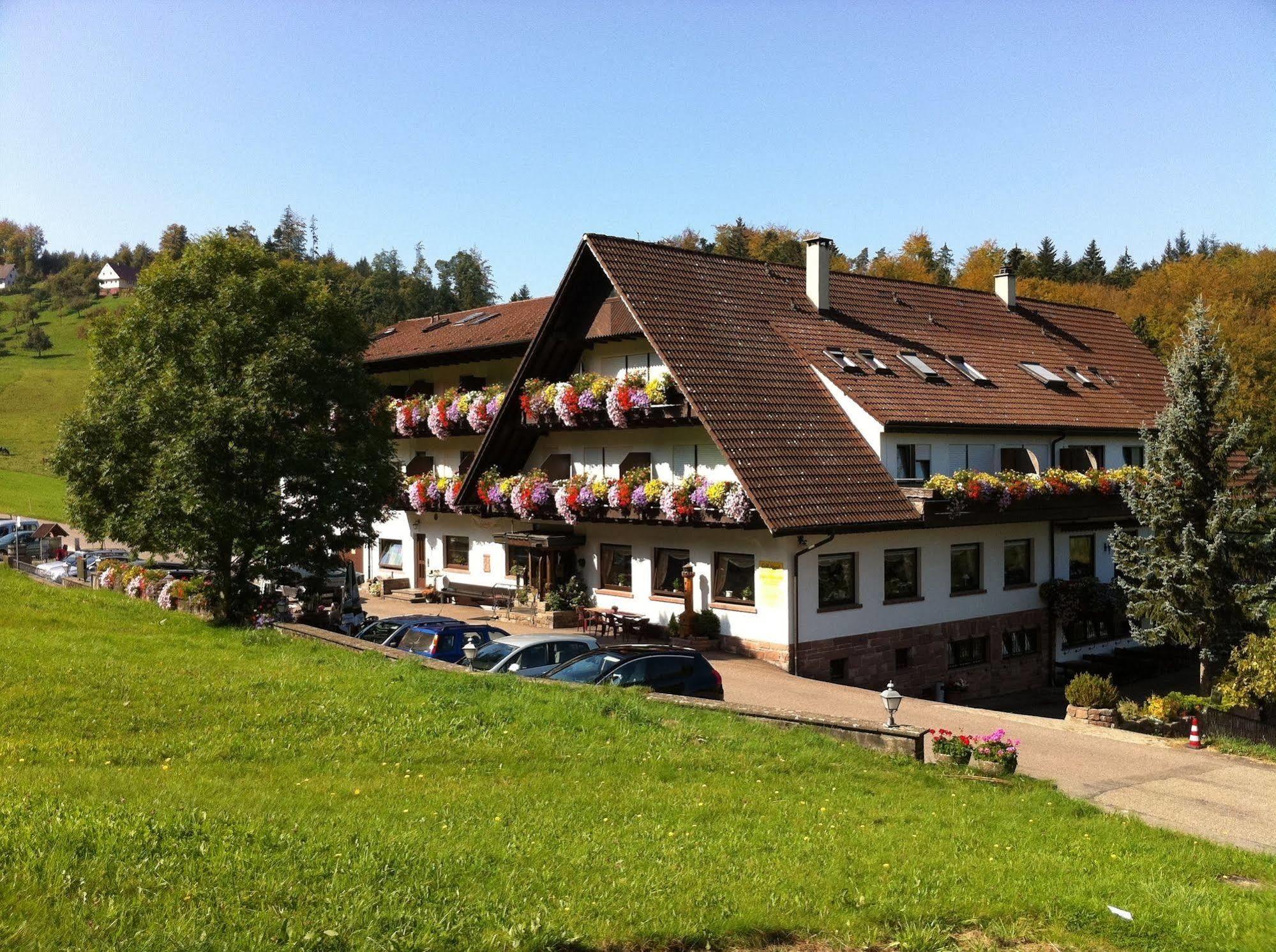 Hoehenhotel & Restaurant Kalikutt Oppenau Dış mekan fotoğraf